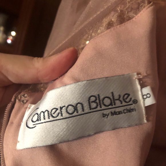 Cameron Blake mink pink MOB gown - Picture 6 of 6